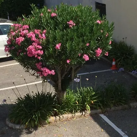 Eden * Juan-les-Pins